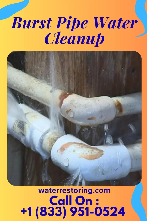 Burst Pipe Water Cleanup in Lake LeAnn, MI