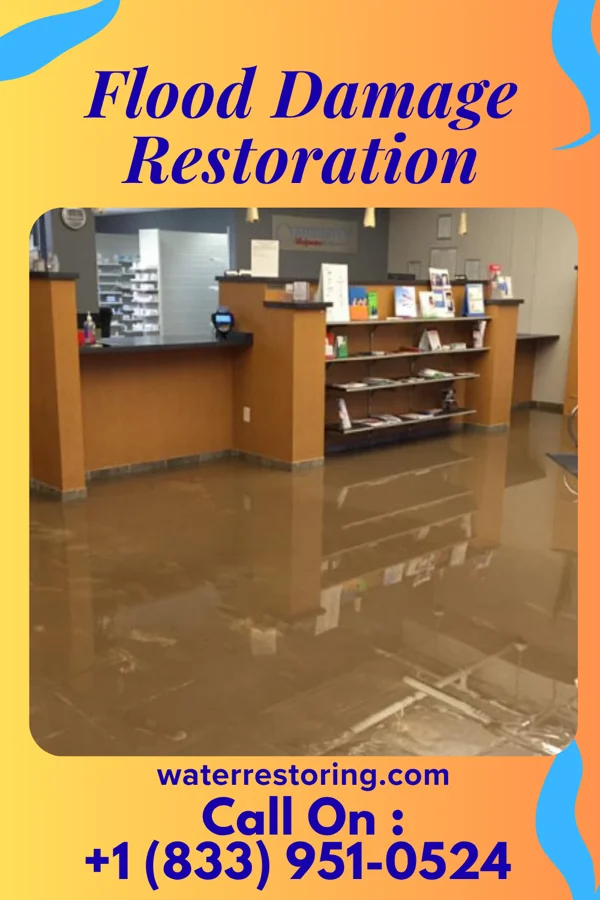 Flood Damage Restoration in Lake LeAnn, MI