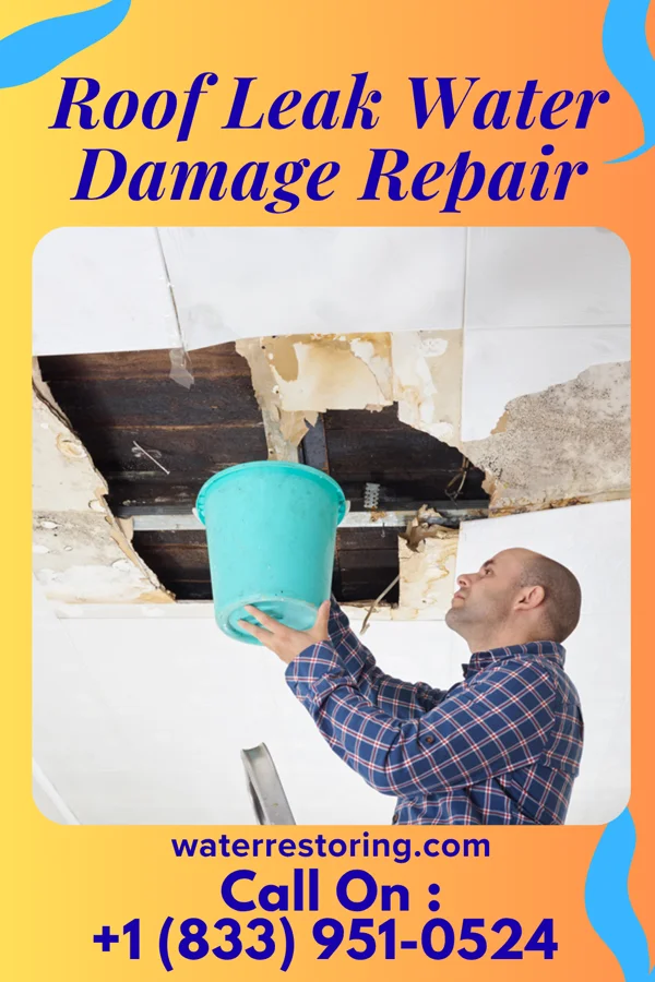 Roof Leak Water Damage Repair in Lake LeAnn, MI