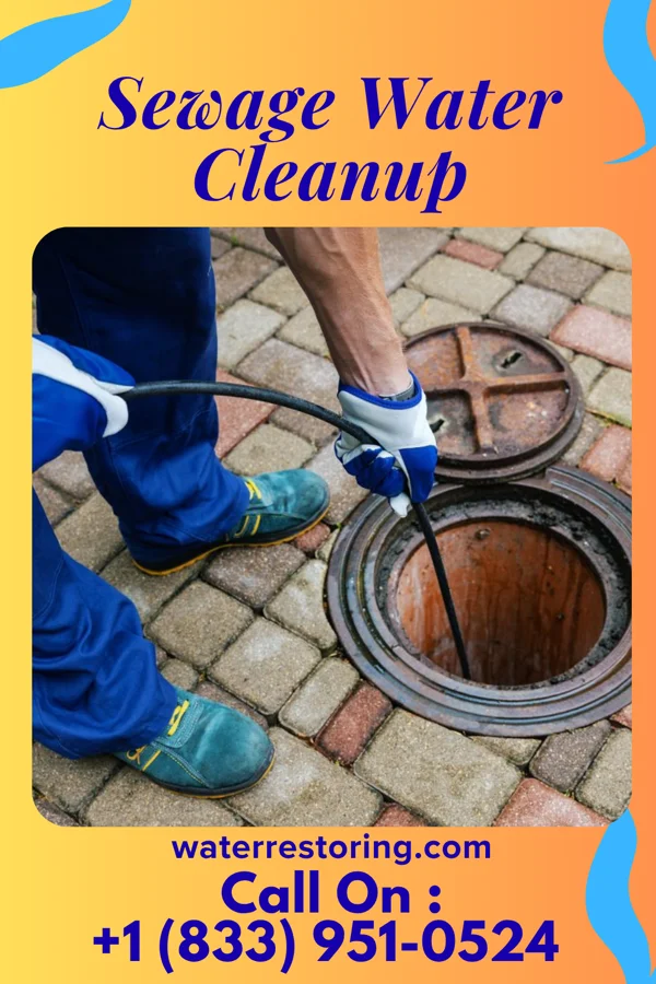 Sewage Water Cleanup in Lake LeAnn, MI