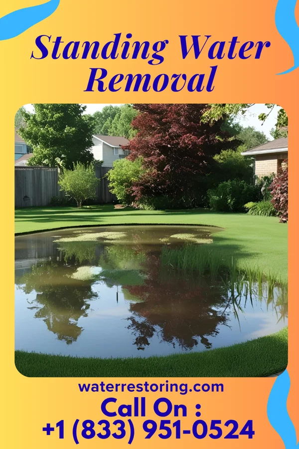 Standing Water Removal in Lake LeAnn, MI